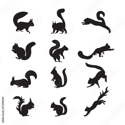 Set squirrel silhouette vector illustration.