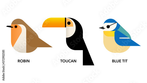 robin , toucan, blue tit , illustration of a birds vector eps jpeg png transparent background	