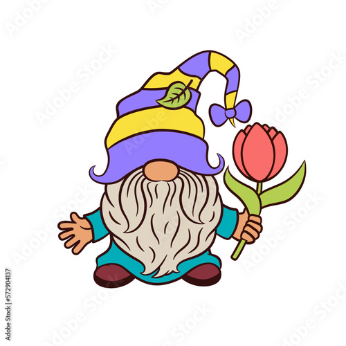 Cute spring gnome with tulip flower. Funny hat scandinavian gnome spring cottage core garden theme. Adorable nordic dwarf tomte nisse isolated on white background. Springtime vector illustration.