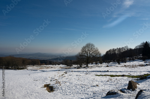 Winter landscape with lots of snow
