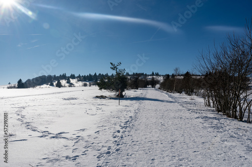 A snowy path in winter with snow, sky and sun