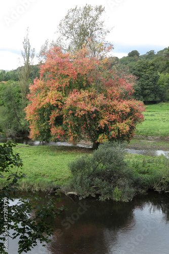 Around Lismore - County Waterford - Ireland photo