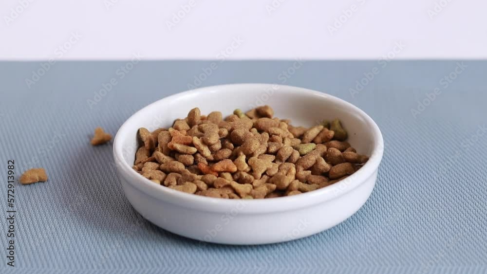The feed is poured into a white bowl. Balanced nutrition for pets, food advertising. A bowl on a special rug The feed is poured into a white bowl. Balanced nutrition for pets, food advertising. A bowl on a special rug