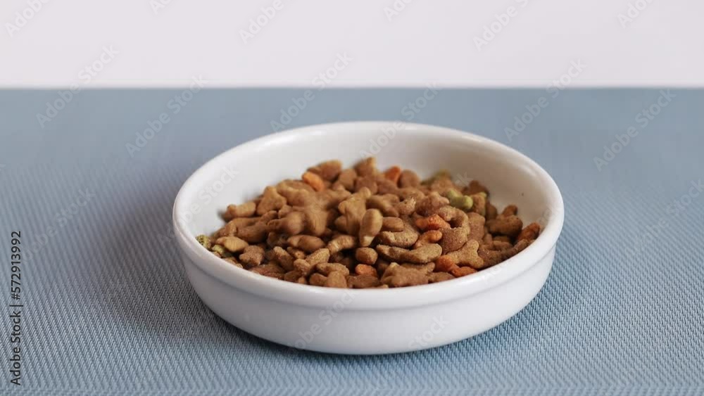 The feed is poured into a white bowl. Balanced nutrition for pets, food advertising. A bowl on a special rug The feed is poured into a white bowl. Balanced nutrition for pets, food advertising. A bowl on a special rug
