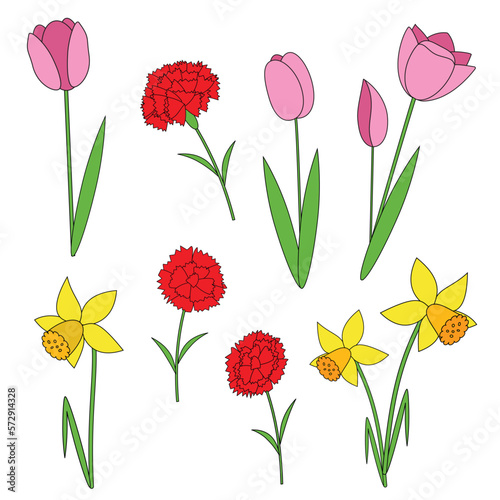 Set of colorful tulips, carnations, daffodils.