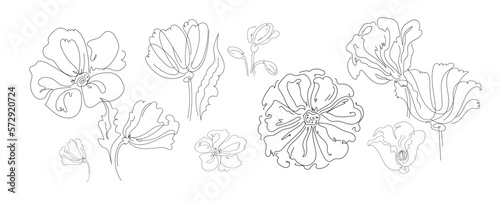 Poppy flower one continuous line art. Decoration blossom botanical floral element. Vector doodle illustration.