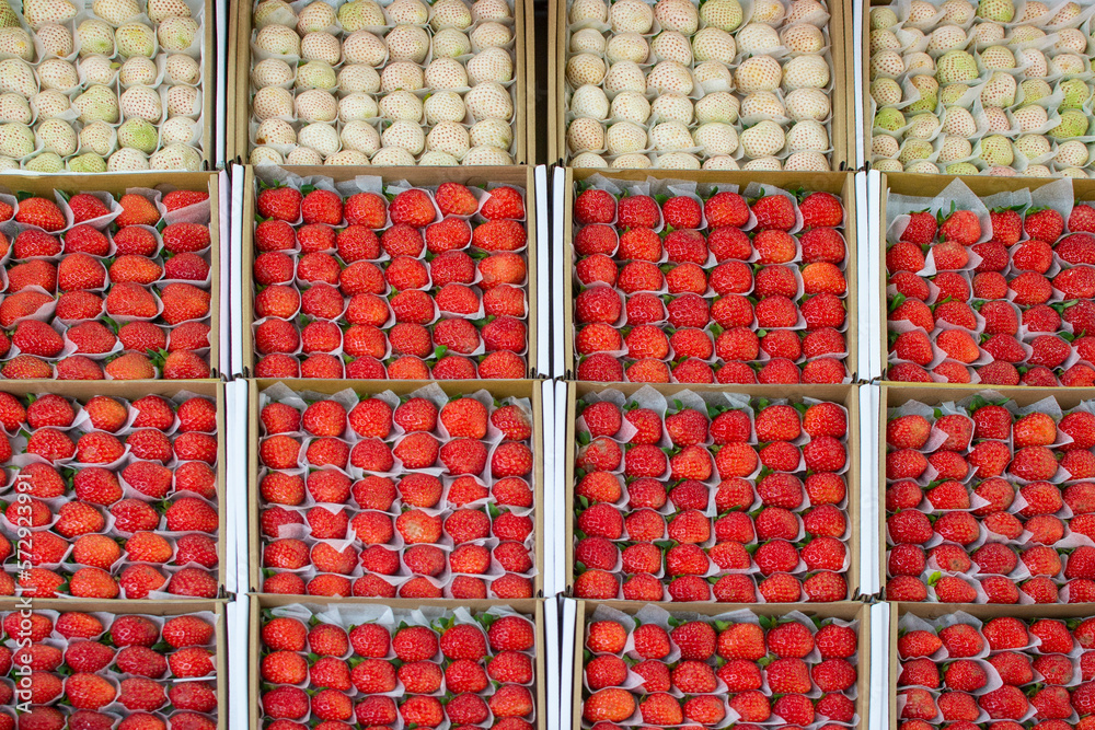 Red and white strawberry at market counter in Da Lat, Vietnam