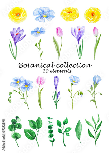 Watercolor big flowers collection botanical set cliparts isolated for wedding invitations, labes, design projects