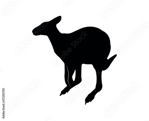 Vector flat kangaroo silhouette isolated on white background