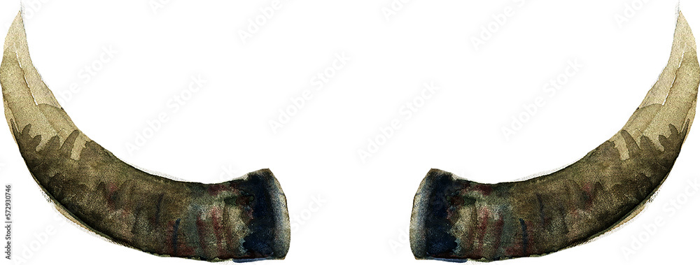 Boho Horns bull and deer with sucuulents cactus plants isolated elements transparent background Boho Horns bull and deer with sucuulents cactus plants isolated elements transparent background