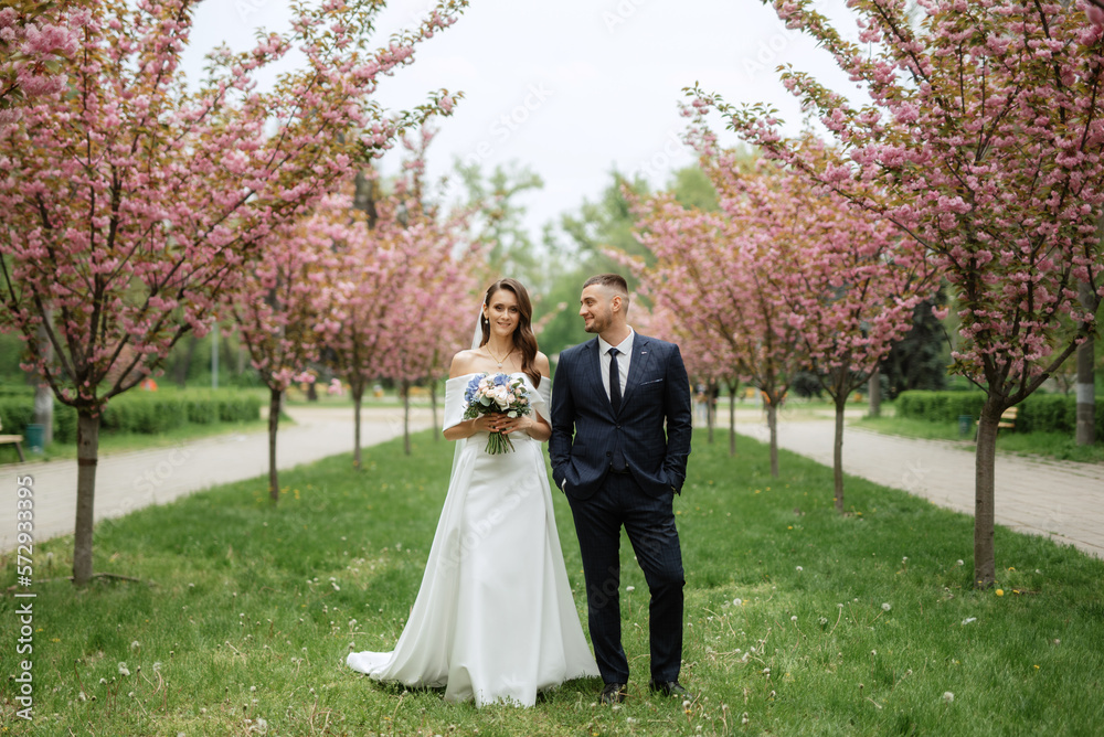 newlyweds walk in the park among cherry blossoms newlyweds walk in the park among cherry blossoms