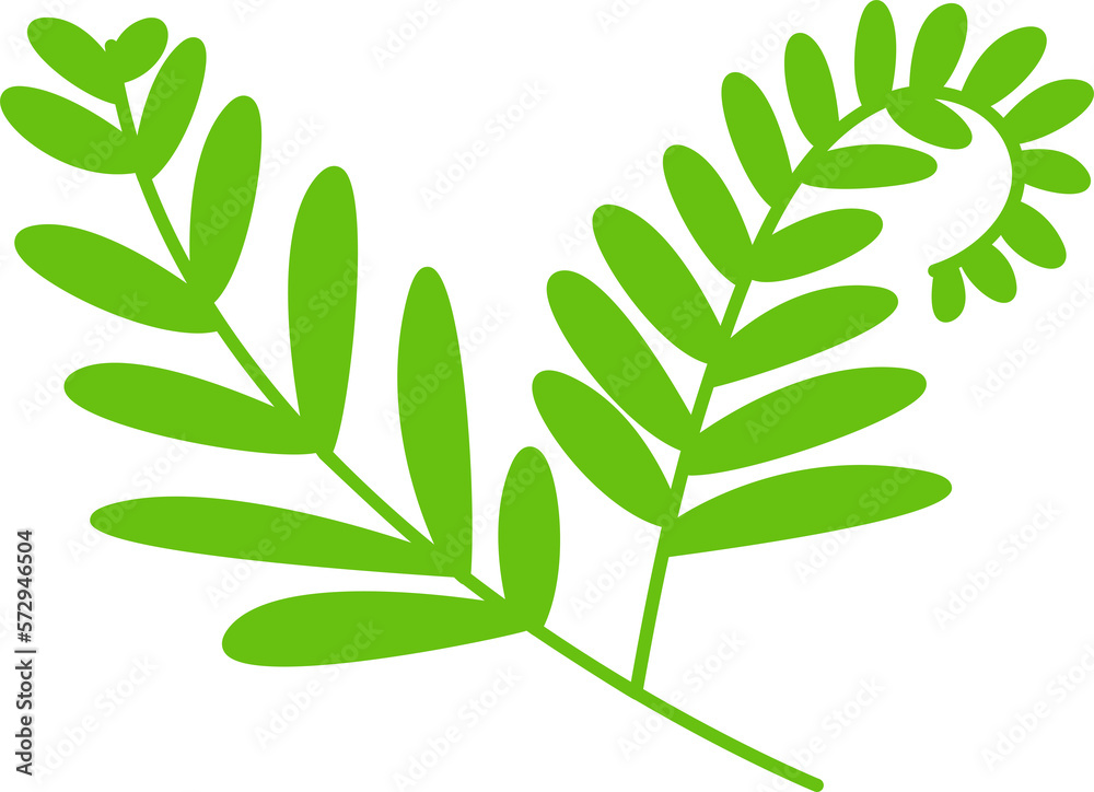 green leaves and branch illustration green leaves and branch illustration