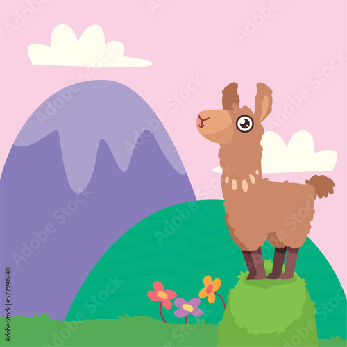 llama in the garden