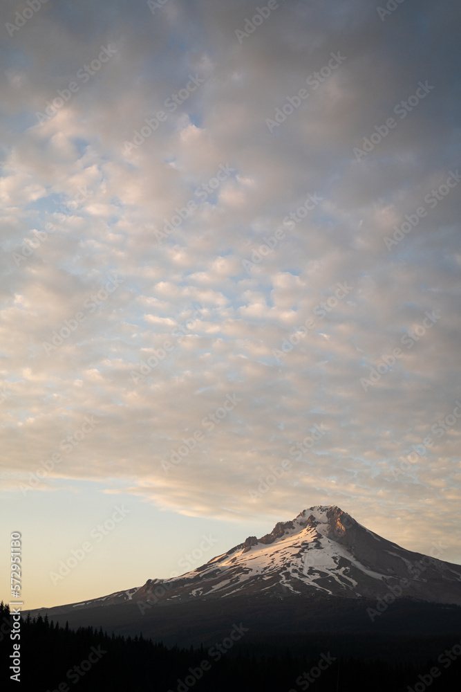 Mount Hood vertical photo