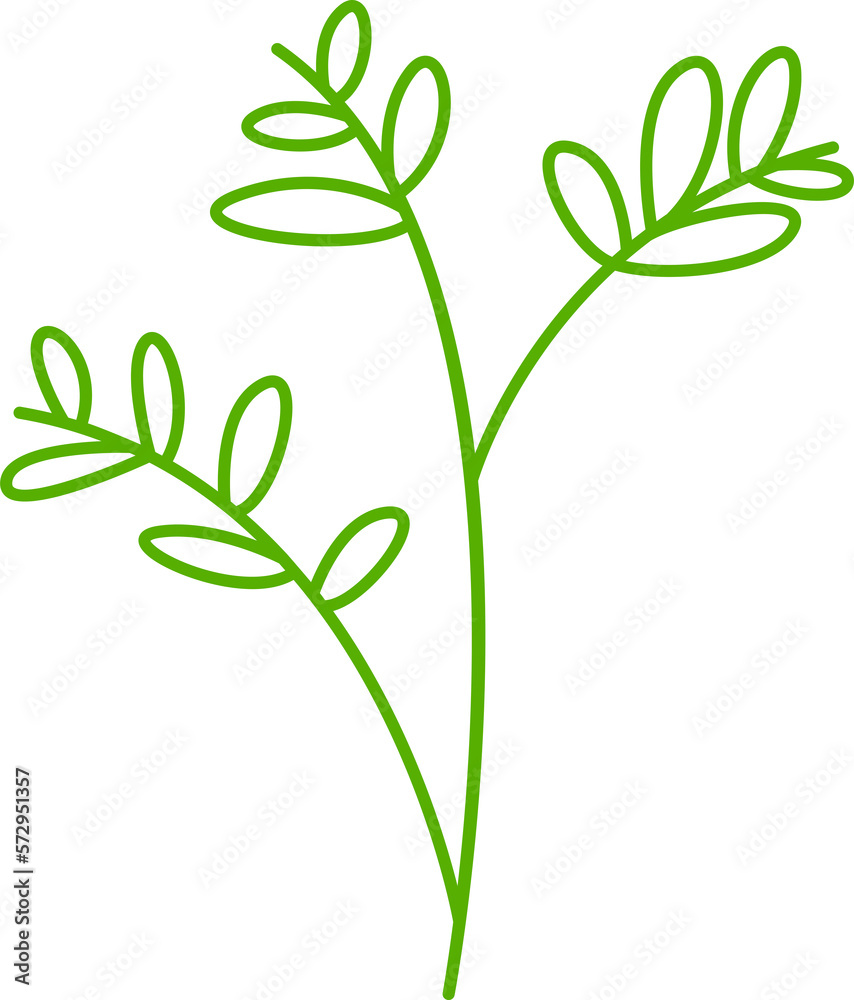 leaves and plant line illustration