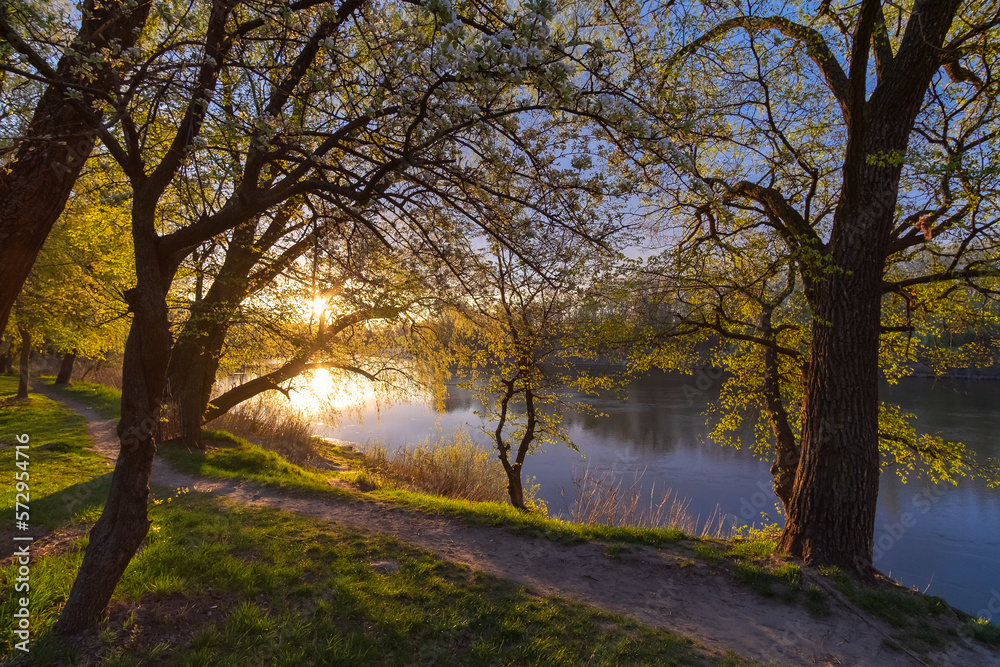 spring in the park