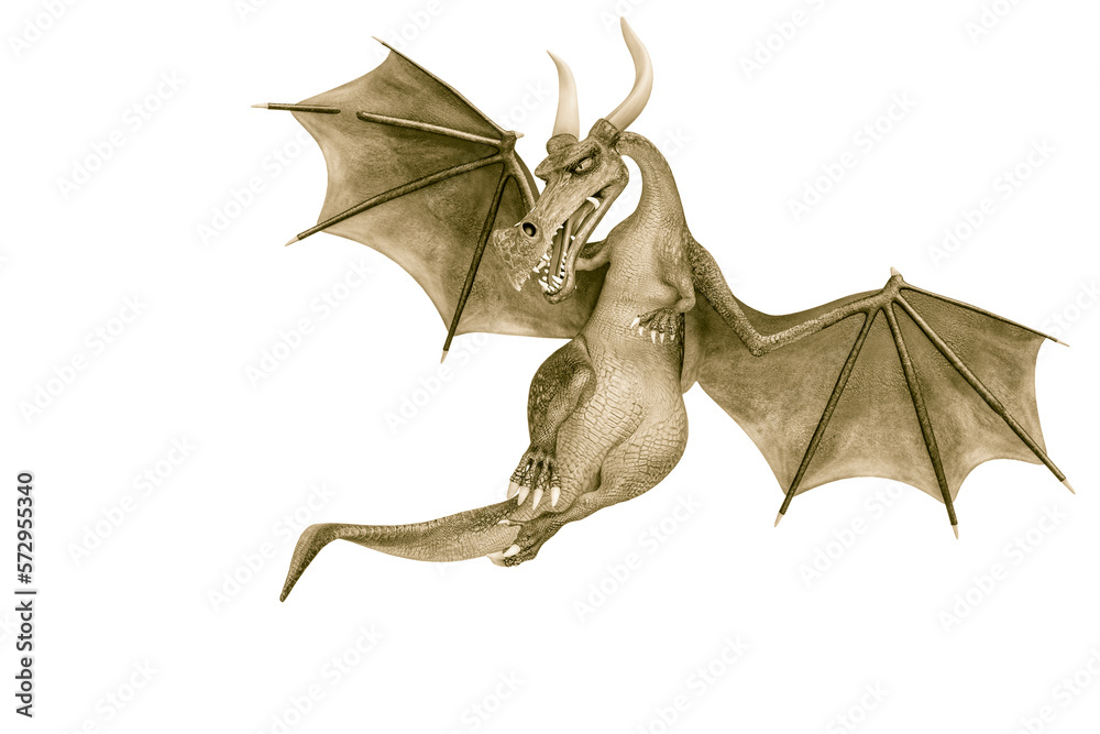 dragon cartoon is watchingn dragon cartoon is watchingn