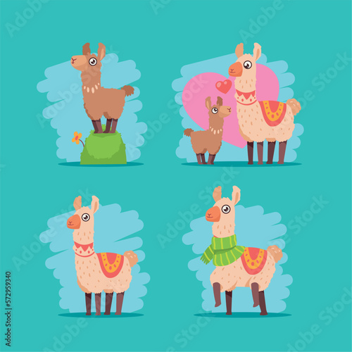 five llamas perubians animals