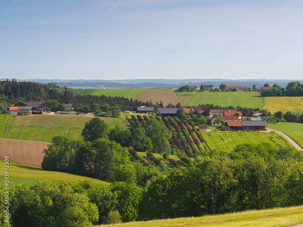 Blick im Spätsommer über die bäuerliche Kulturlandschaft der Gatterberge in Bayern vor blauem Himmel