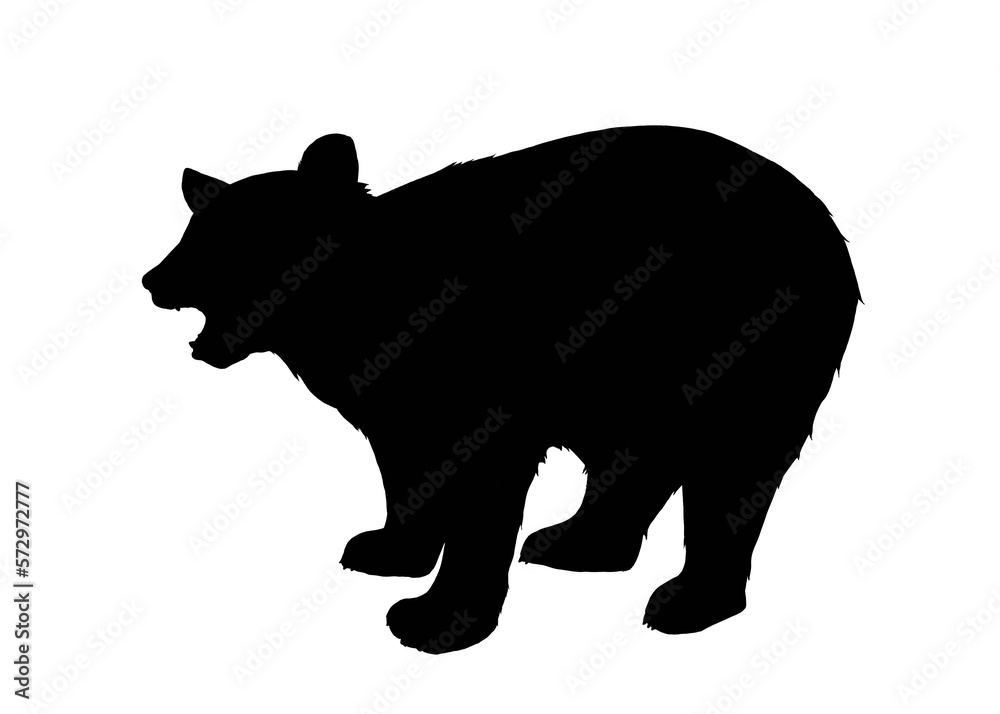 Fototapeta premium Silhouette of a bear isolated on white 