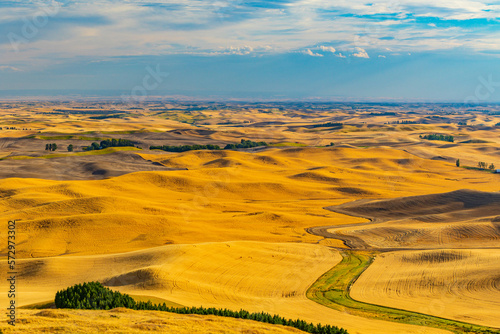 Amazing yellow hills. Plowed fields, an incredible drawing of the earth. Palouse wheat fields, Steptoe Butte State Park, Eastern Washington, in the northwest United States.
