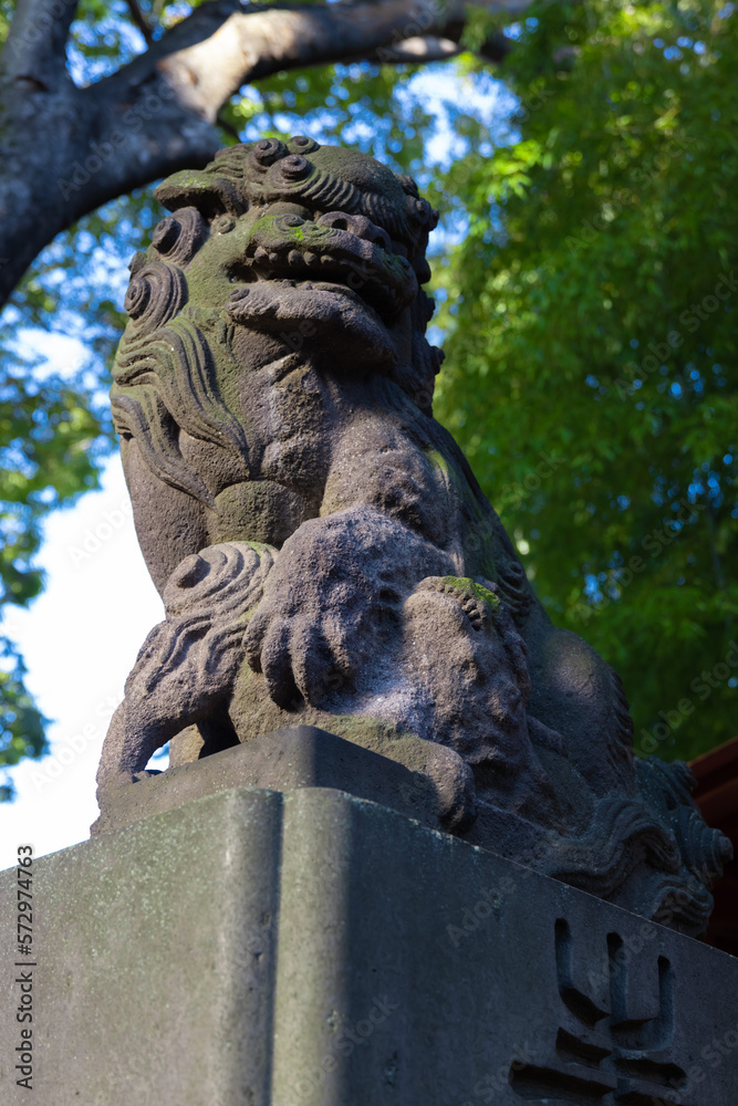 A statue of guardian dog at Japanese Shrine