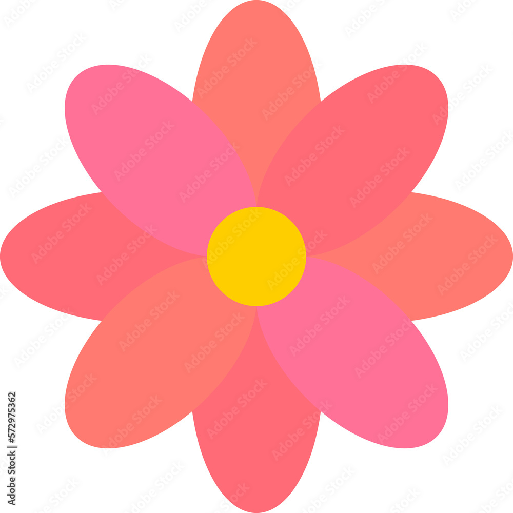 Pink flower isolated on white background Pink flower isolated on white background