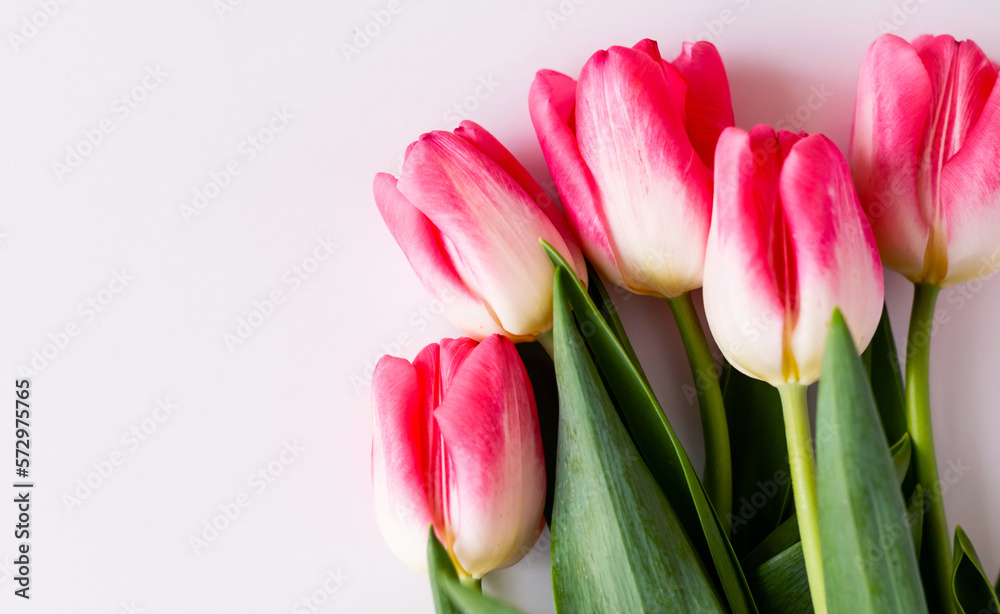 Pink tulip flowers bouquet on white background. Flat lay, top view. Selective focus. Shallow depth of field Pink tulip flowers bouquet on white background. Flat lay, top view. Selective focus. Shallow depth of field