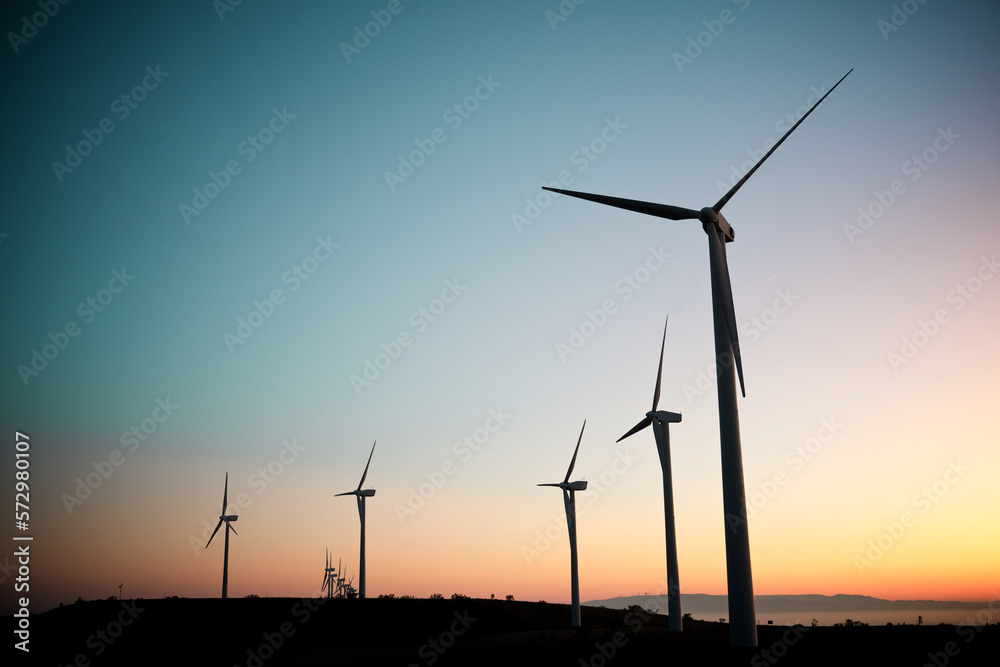 Wind turbine generators for renewable electricity production