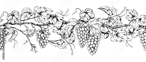 Grape leaf, seamless border. Wine garland pattern. Realistic divider with branches and leaves farming decor element, agriculture row fruit. Vector line sketch isolated on white illustration