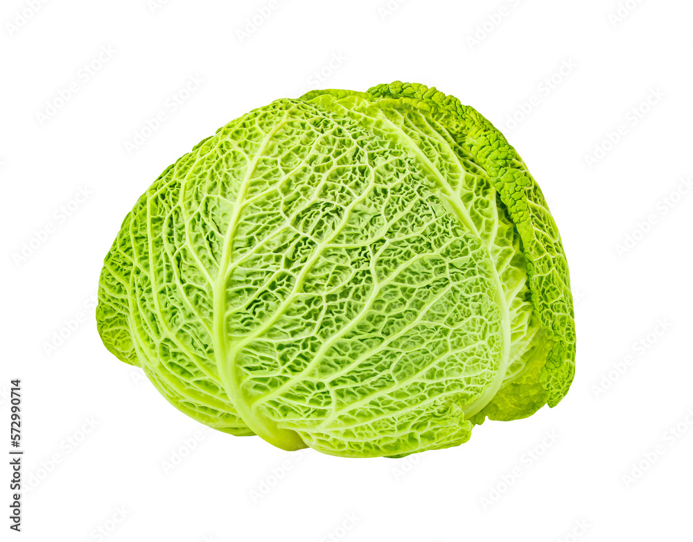 Savoy cabbage head, winter green vegetable, isolated on white background with clipping path Savoy cabbage head, winter green vegetable, isolated on white background with clipping path