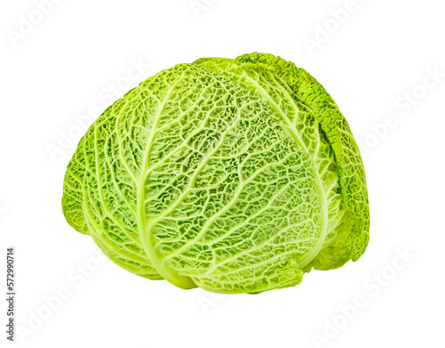 Savoy cabbage head, winter green vegetable, isolated on white background with clipping path