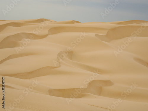 landscape of golden sand dune with blue sky in Ica desert © Prock86