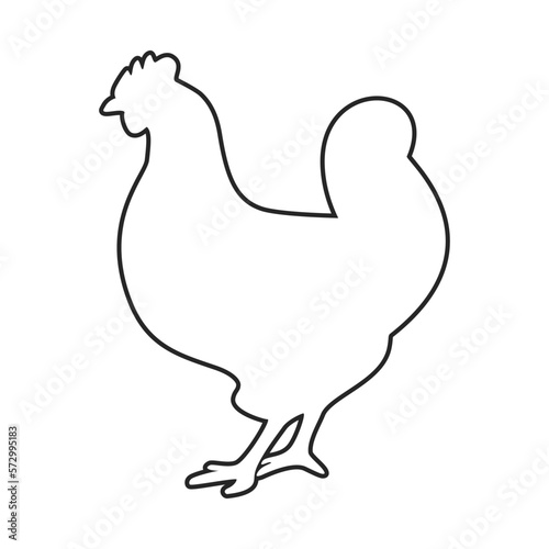 Chicken or hen in simple outline vector