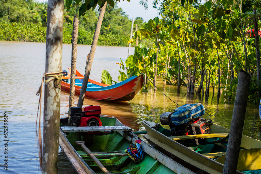 Obraz premium Embarcações Amazônicas