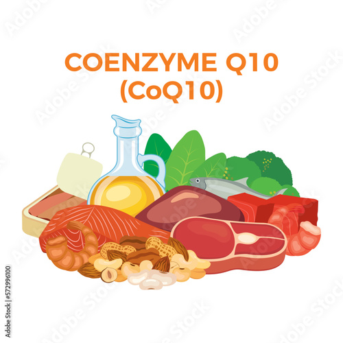 Coenzyme Q10 (CoQ10) in food icon vector. Coenzyme Q10 food sources vector illustration isolated on a white background. Liver, meat, seafood, nuts, oil vector. Pile of healthy fresh food drawing