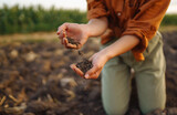 Expert hand of farmer woman checking soil health before growth a seed of vegetable or plant seedling. Agriculture, gardening or ecology concept.