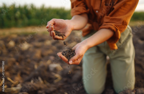 Print op canvas Expert hand of farmer woman  checking soil health before growth a seed of vegetable or plant seedling