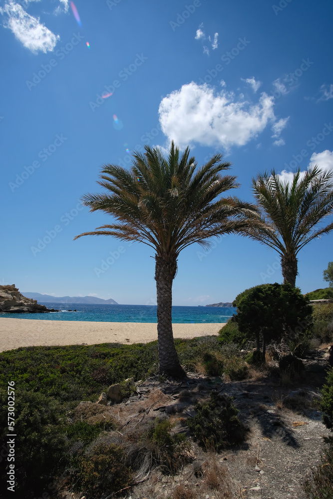Panoramic view of the beautiful dream beach of Sapounohoma in Ios Greece with palm trees