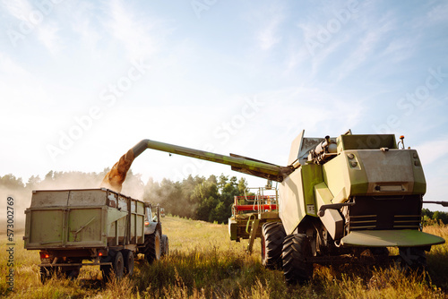 Combine harvester harvests grain in the field. Agriculture  gardening or ecology concept.