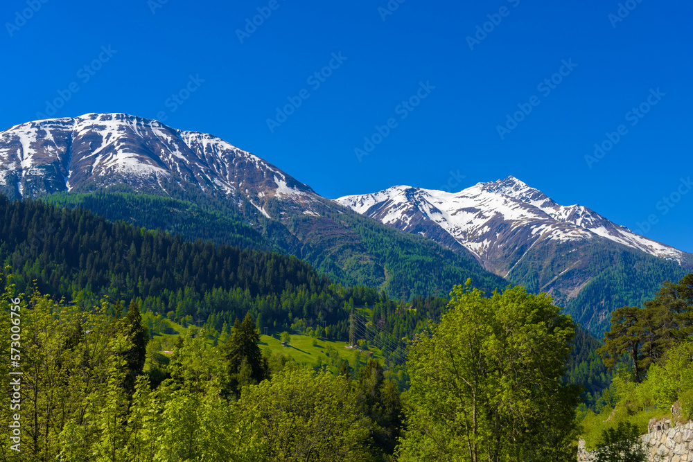 Alp mountains with forest and fields, Fiesch, Goms, Wallis, Valais Switzerland