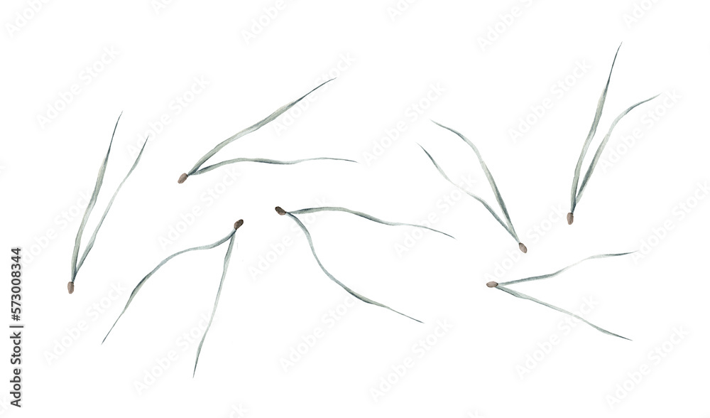 Watercolor image of green pine needles on white background. Watercolor image of green pine needles on white background.