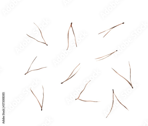 Watercolor image of brown pine needles on white background.