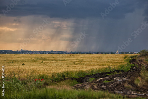 Thunderstorm over a yellow wheat field, a dirty rural road and streaks of rain on the horizon