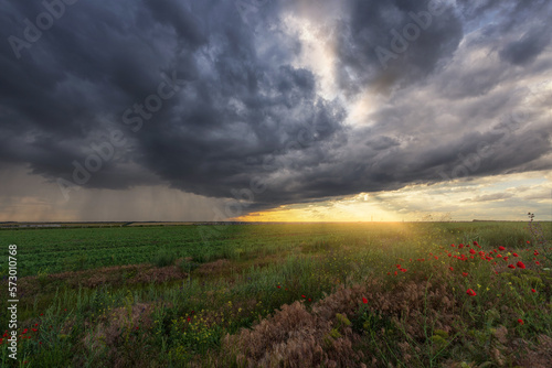 Thunderstorm over a green field with poppies in the foreground, strips of rain and the sun's rays from the clouds