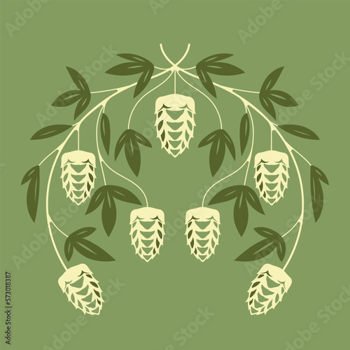 Hops plant and hop leaves isolated on green background