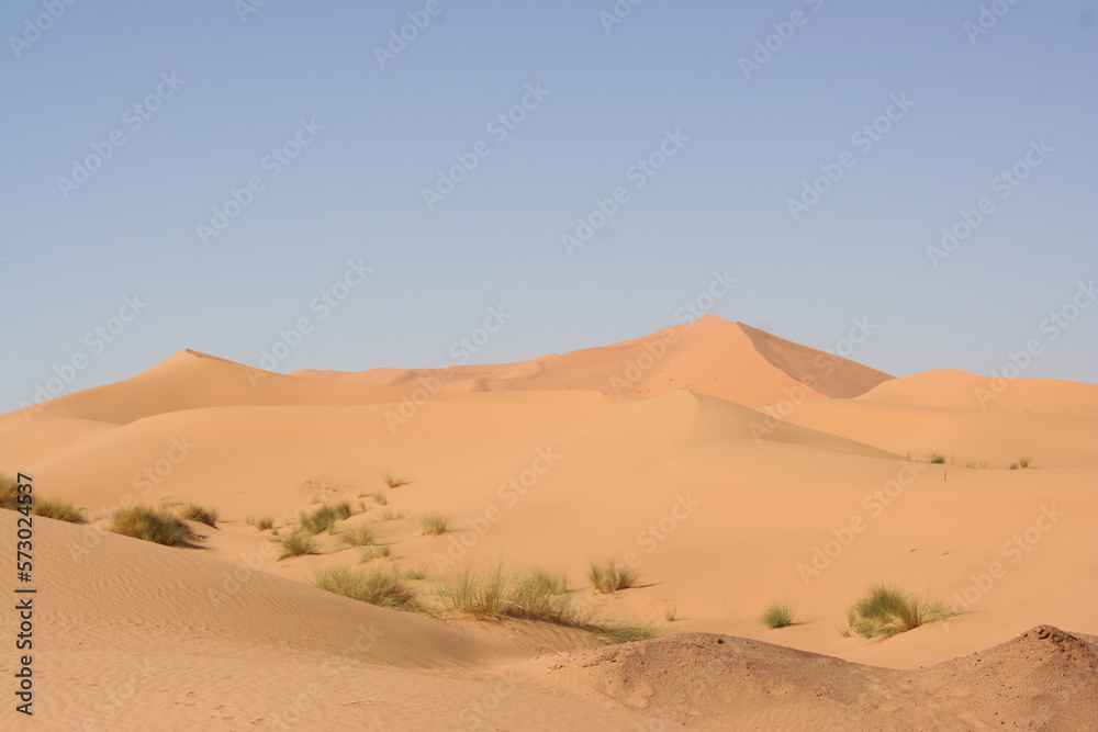 Sand dunes in the Sahara Desert in Morocco