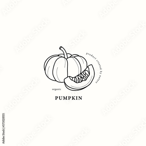 Line art pumpkin seed illustration
