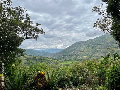 landscape with trees loja ecuador 