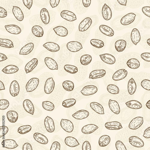 Vector peanut seeds seamless pattern